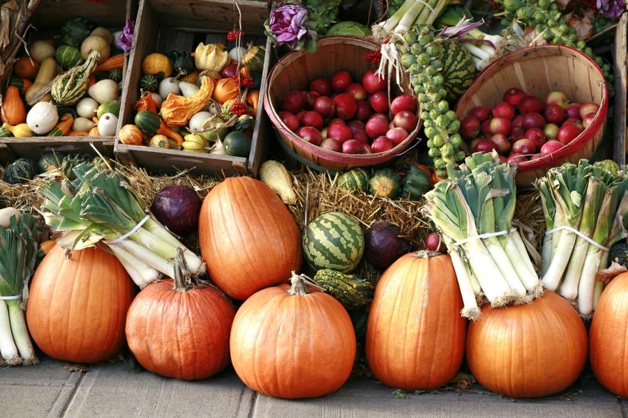 Fall Fruits and Vegetables